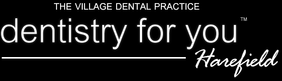 The village dental logo